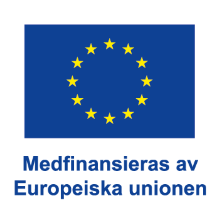 EU-logga: EU-flaggan med texten "Medfinansieras av Europeiska unionen".