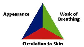 Bild som beskriver tre behandlingsparametrar; andningsarbete, uppträdande, cirkulation till huden